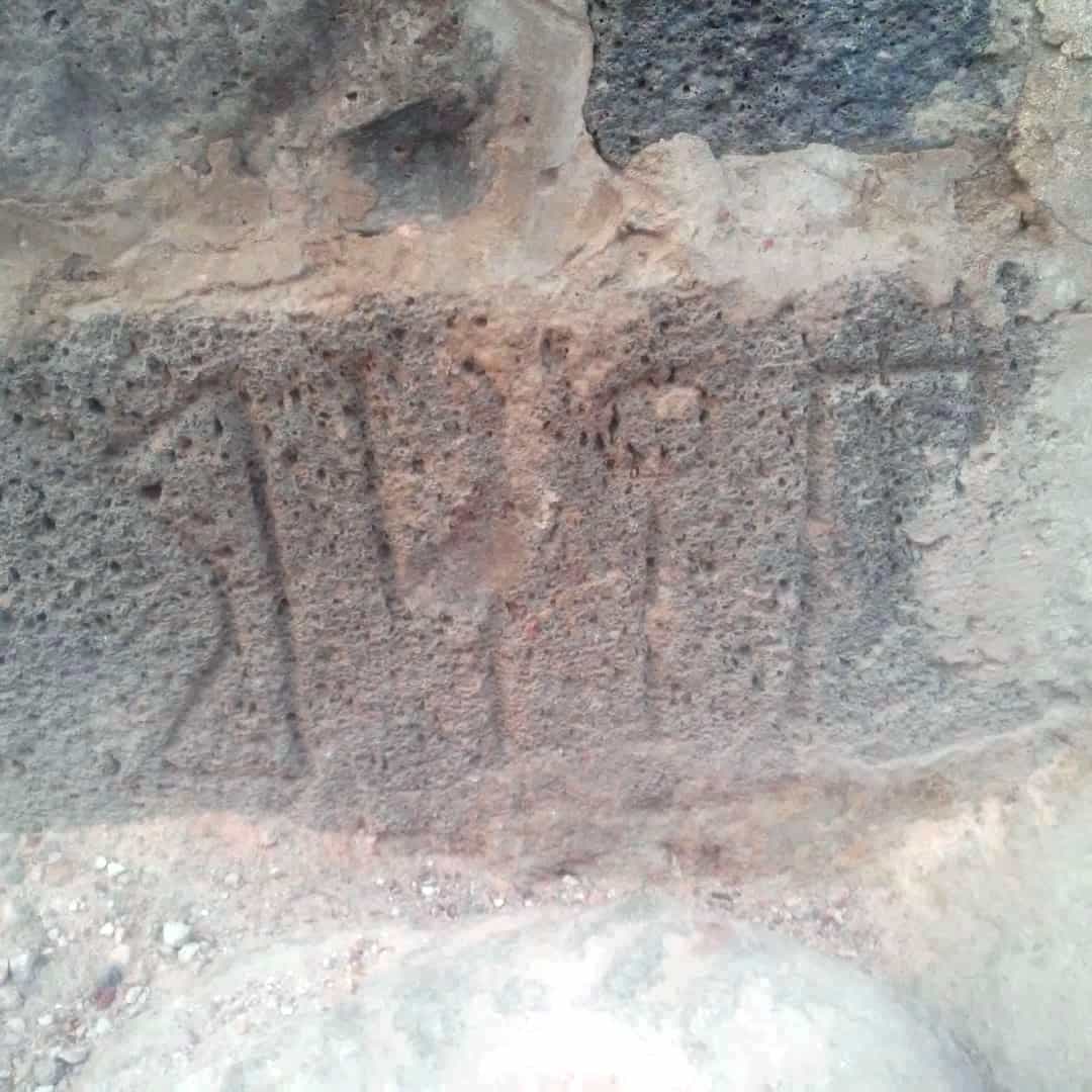 الشرعي تنن 3